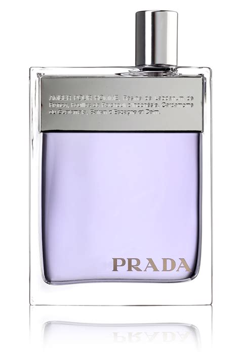 prada amber pour homme fragrantica